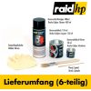 raid hp Bremssattellack (6-teilig) türkis