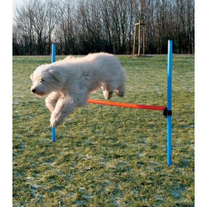 Dog - Agility - Hürde