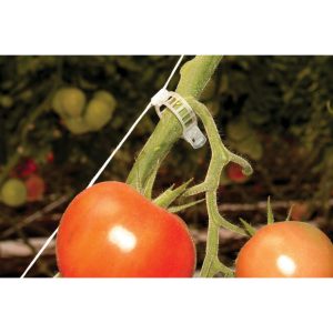 Rion Tomatenrank-Kit