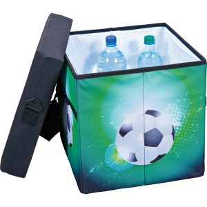 Inter Link Kühltasche - Faltkiste Fanbox I Fußball