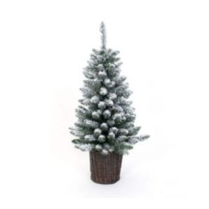 Evergreen Weihnachtsbaum Kiefer Frost 90 cm