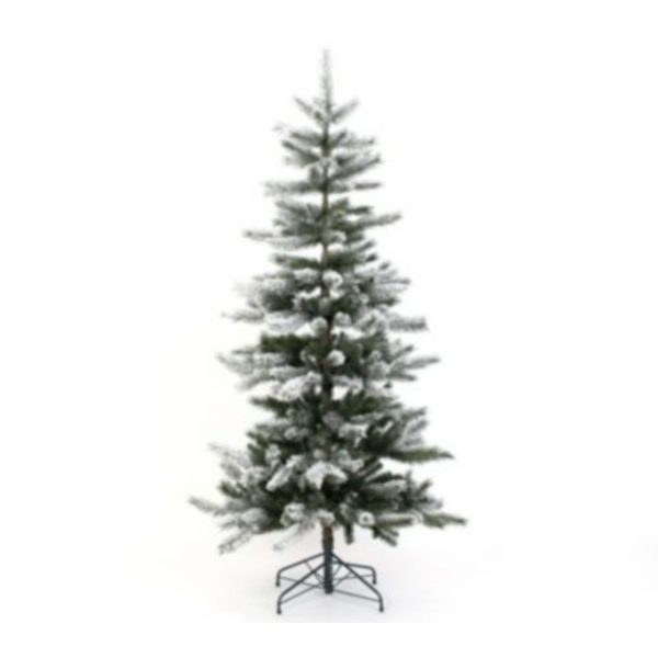Evergreen Weihnachtsbaum Cedar Kiefer Frost 150 cm