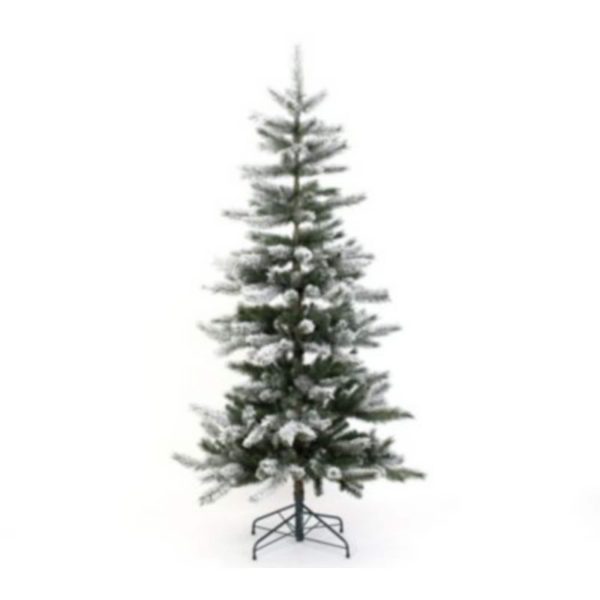 Evergreen Weihnachtsbaum Cedar Kiefer Frost 180 cm