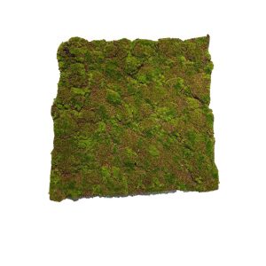 HTI-Living Moosmatte Braun-Grün 50 x 50 cm Kunstpflanze Flora