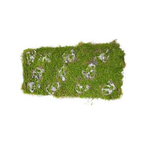 HTI-Living Moosmatte 100 x 30 cm Kunstpflanze Flora