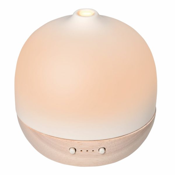 HOMCOM Aroma Diffusor 2-in-1 Funktion