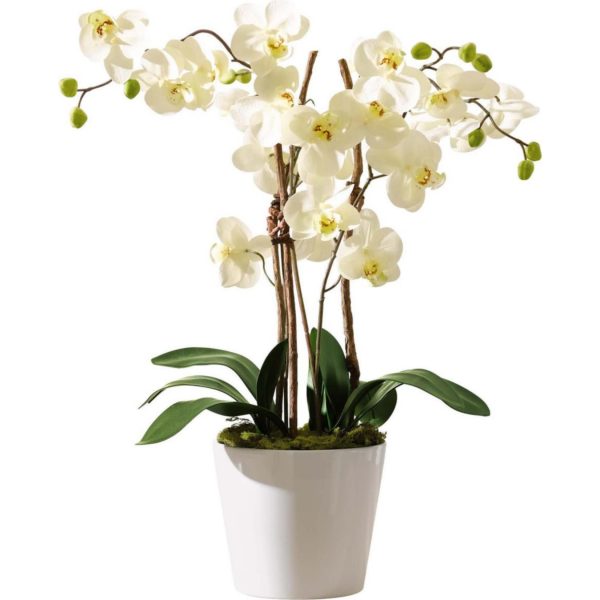 Kunstpflanze Orchidee mit weißem Keramiktopf "Elegance"