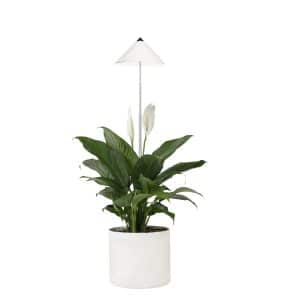 Parus by Venso SUNLiTE LED Pflanzenlampe klein 7W Weiß