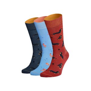 Von Jungfeld Herren Socken Mehrfarbig