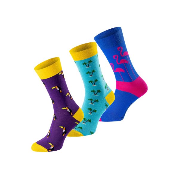 ChiliLifestyle Freizeitsocken Banderole Mix