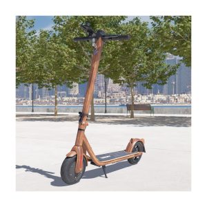 ABE -Scooter XI-700-S versch. Ausführungen Holzoptik mit Straßenzulassung