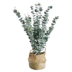 Amarehome Dekopflanze Realistische Kunstpflanze Eukalyptus 50 cm