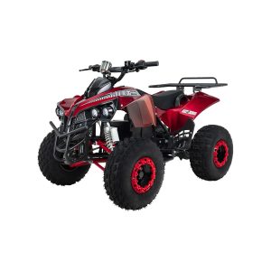 Elektro-Kinderquad S-10